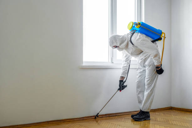 Best Fumigation Services  in Akron, OH